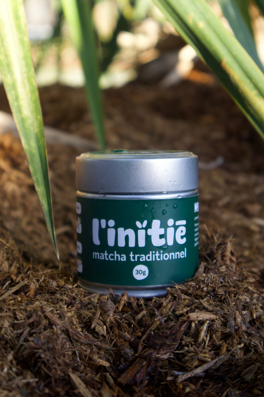 Matcha L'Initie 30g