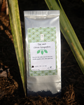 N°6 The Vert Sencha Citron Gingembre