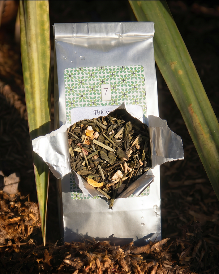 N°6 The Vert Sencha Citron Gingembre