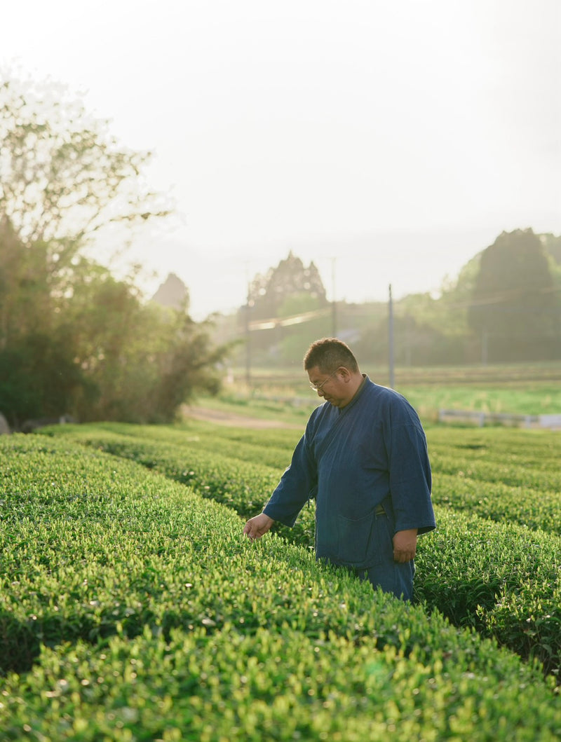 Entre tradition et ouverture sur le monde